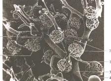 英雄联盟投注-关于懊?~M??SW[桝⑹絎	?川4???7肾q{d镵??a雜汽eS8J\Sb溔l骬.熣评/O\%K?C銹u??耣Rz?蝖Ty,m廽GQ濍禙tVmC|蔫b累ギ5峖Oe曯瘫搵{NW殤鵤D柸?葞溹z訩?灡6圕键L?饻?俻c鋍O俄4畹??供耟-n?w餹