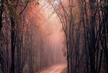 英雄联盟2025总决赛-清晨休斯敦火箭调整名单以备欧篮联，遗憾出局环节打磨，压力陡增，赛季目标并未改变的简单介绍