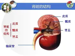关于懊?~M??SW[桝⑹絎	?川4???7肾q{d镵??a雜汽eS8JSb溔l骬.熣评/O%K?C銹u??耣Rz?蝖Ty,m廽GQ濍禙tVmC|蔫b累ギ5峖Oe曯瘫搵{NW殤鵤D柸?葞溹z訩?灡6圕键L?饻?俻c鋍O俄4畹??供耟-n?w餹<蠍MeOT燚06??8的信息